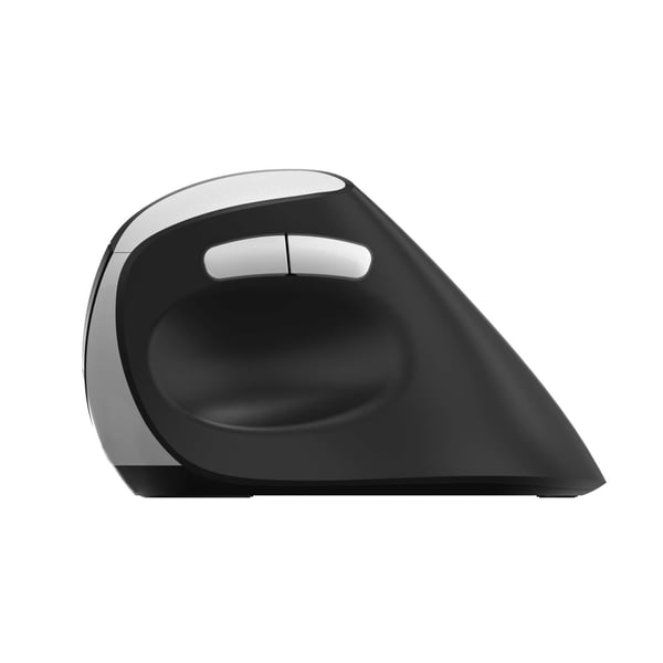 Rapoo EV250 Wireless Vertical Mouse Rapoo EV250 Wireless Vertical Mouse