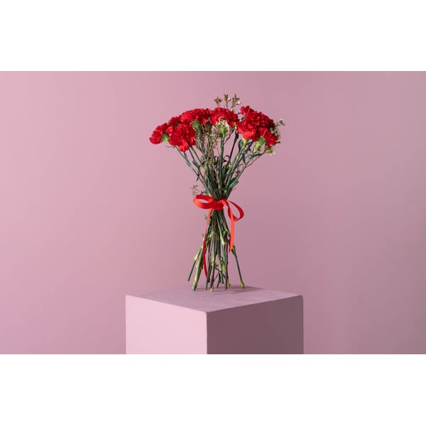 Buy Bouquet Of 12 Red Carnations And Eucalyptus Leaves Online in UAE