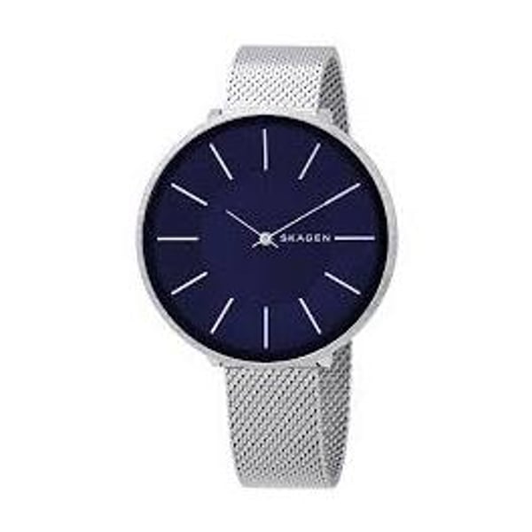 Skagen Karolina Silver Mesh Women Watch SKW2725