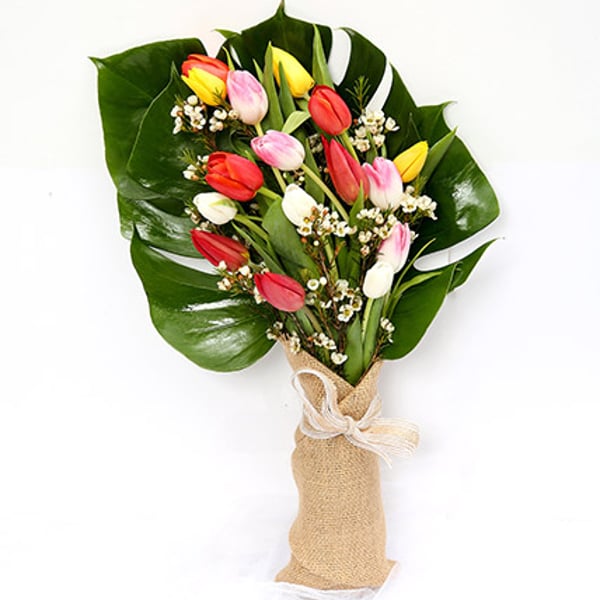 Colourful Bouquet Of Tulips Colourful Bouquet Of Tulips