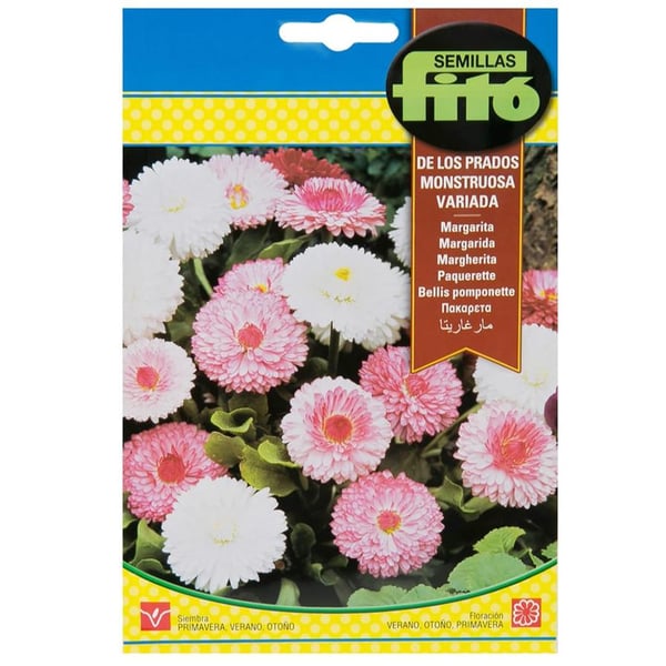 Semillas Fito Bellis ˜pomponette Mix Flower Seeds