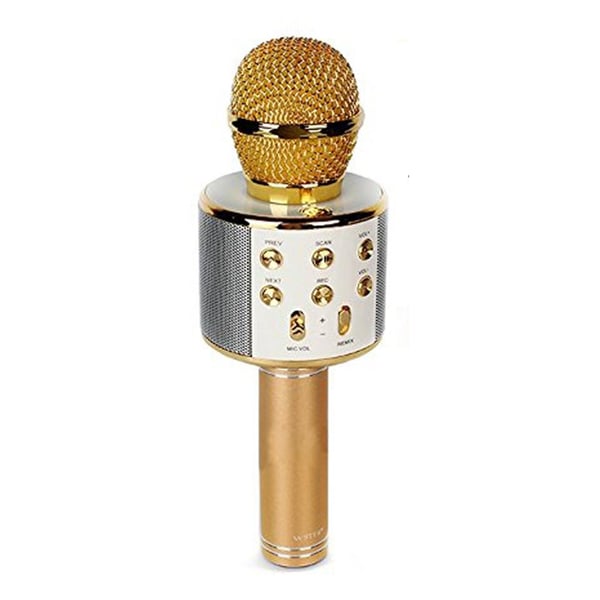 Wster WS-858 Wireless Microphone Hifi Speaker Wster WS-858 Wireless Microphone Hifi Speaker
