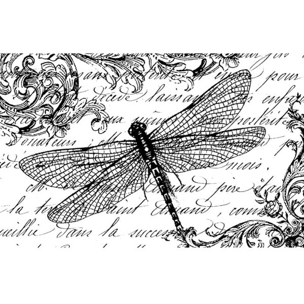 Stamperia HD rubber stamp cm. 7x11 Dragonfly and Writing