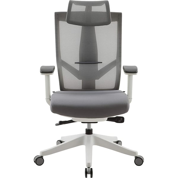 Navodesk Aero Chair Ergonomic Design Premium Office & Computer Chair With Multi-adjustable Features By Navodesk Light Gray