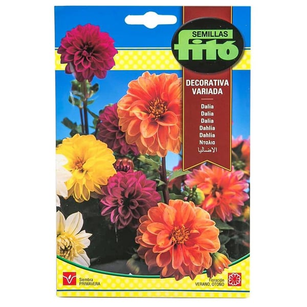 Fito Dahlia Decorative Mix Flower Seeds Fito Dahlia Decorative Mix Flower Seeds