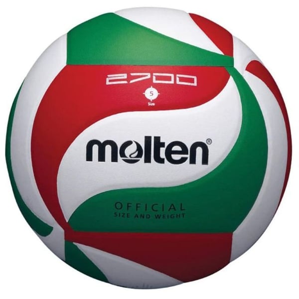 Buy Molten Synthetic Leather Volleyball 5 Online in UAE Sharaf DG