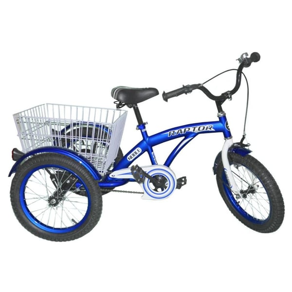 Raptor RT-64 Tricycle With Basket 24