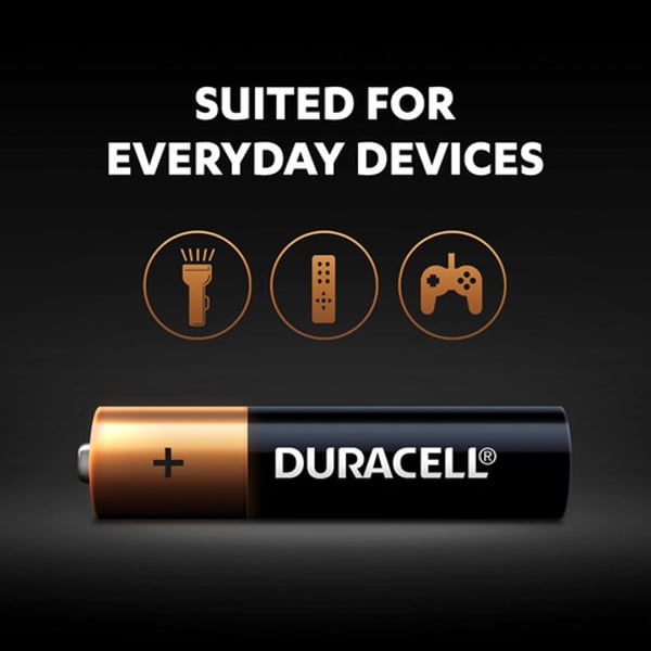 Duracell Battery AAA 2 Pack Monet