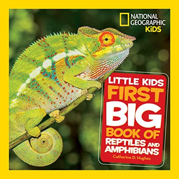 National Geographic - Little Kids First Big Bk Of Reptiles & A National Geographic - Little Kids First Big Bk Of Reptiles & A