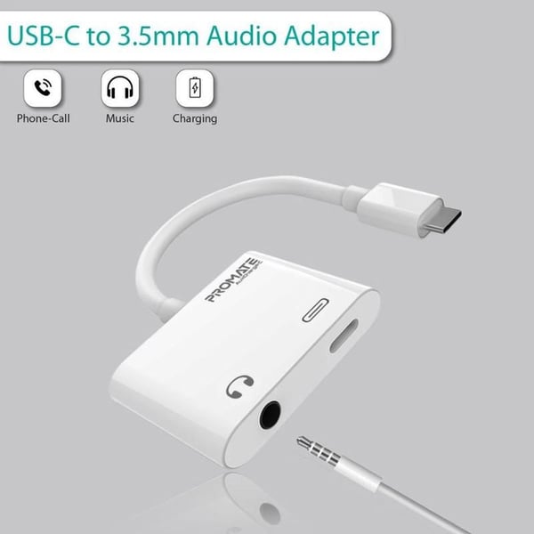 Promate 2-In-1 Type C Adapter White