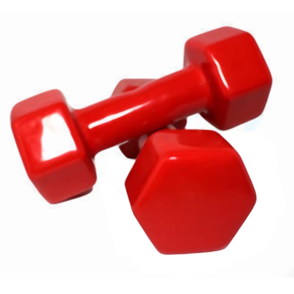 H Pro 2- Pieces Fitness Vinyl Coated Dumbbell Bodybuilding Exercise Equipment Dumbbell Home Interior Fitness Equipment Weight Loss Dumbbell HM000GD-24 (6kgx 2)