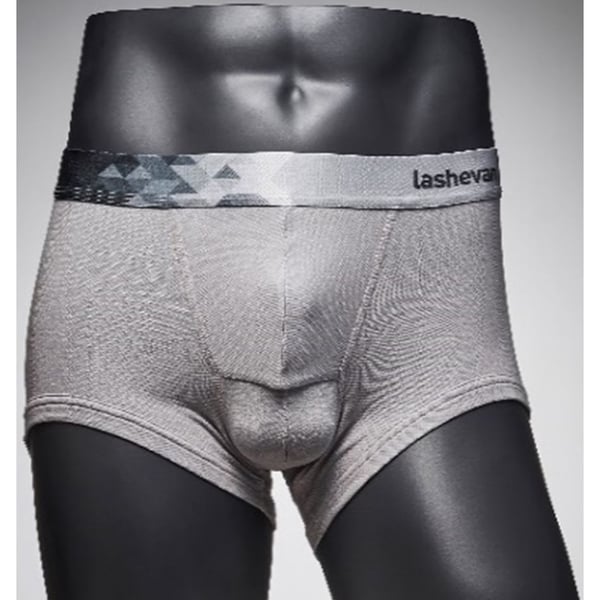 Lashevan All Mesh Underwear Dia Grey 105 (XL)