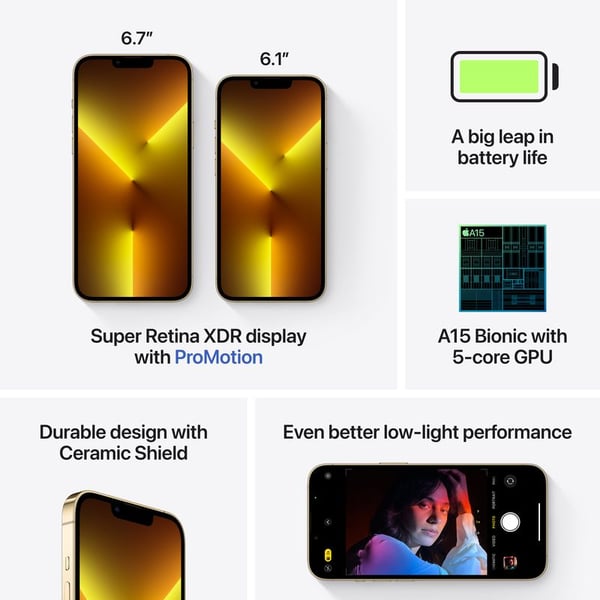 iPhone 13 Pro Max 1TB Gold (FaceTime - Japan Specs)