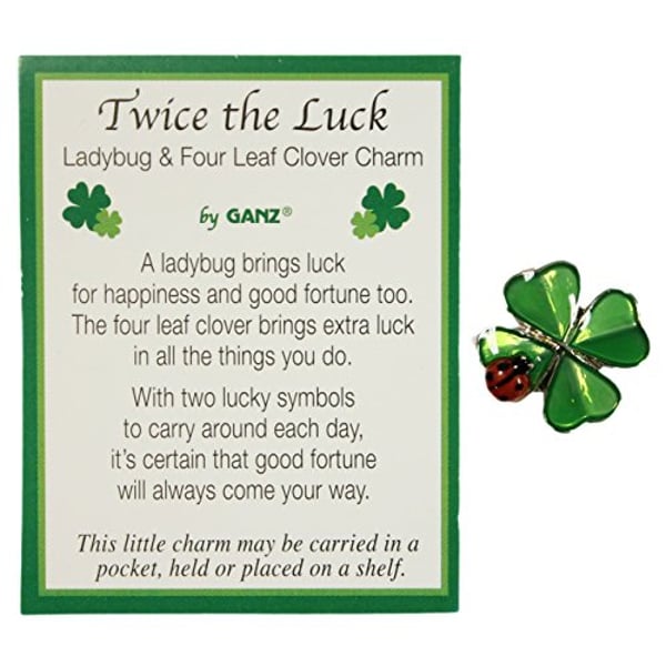 1 Ganz Twice The Luck Clover And Lady Bug Charm