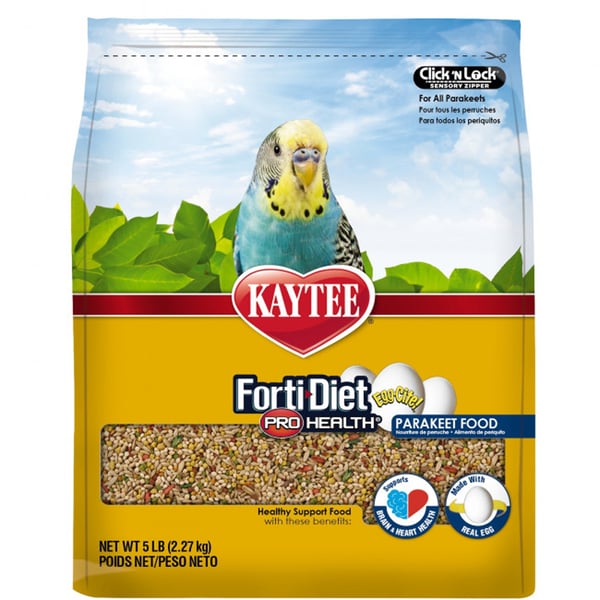 Parakeet shop top