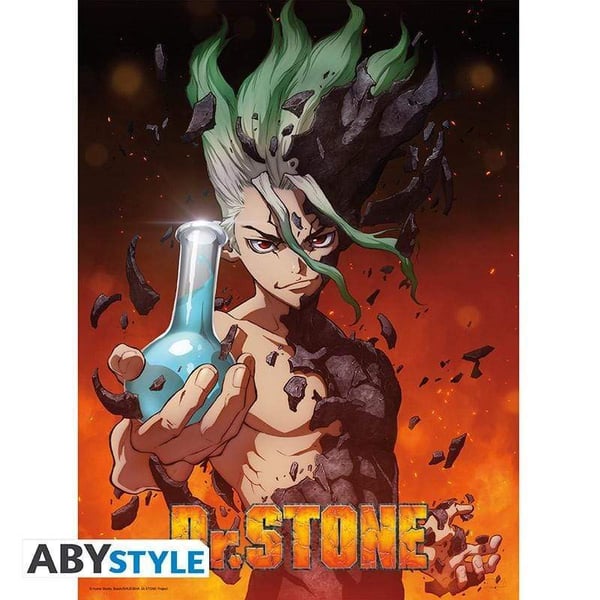 Dr Stone - Poster 