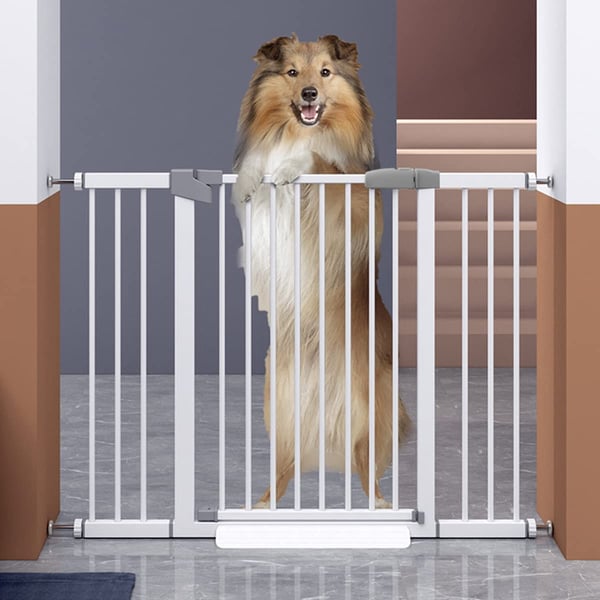 Indoor hotsell safety gate