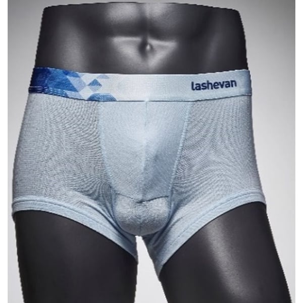 Lashevan All Mesh Underwear Dia Sky 100 (L)