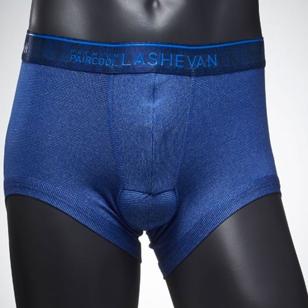 Lashevan Pair Cool Underwear Royal Blue 95 (M) Lashevan Pair Cool Underwear Royal Blue 95 (M)