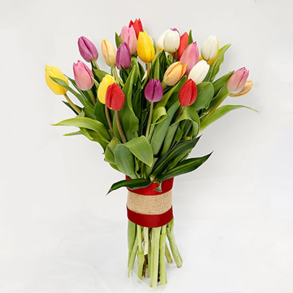 25 Vibrant Tulips Bunch 25 Vibrant Tulips Bunch