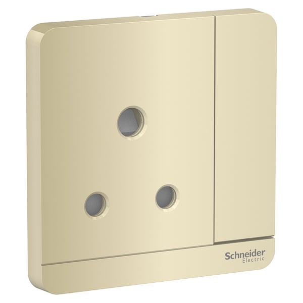 Schneider Electric Avatar On Switch Socket 3p, 15 A, 250 V, Gold