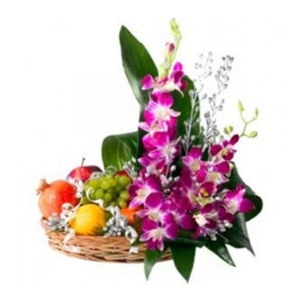 Cortes Pasion CPDS50 Orchid Fruit Mix