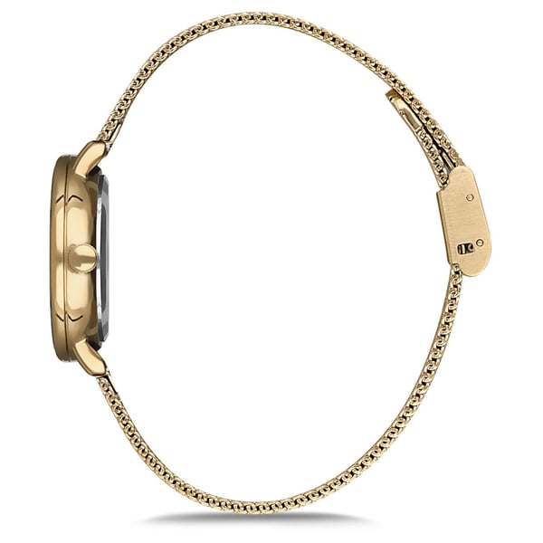 Omax Dome Series Gold Mesh Analog Watch For Women DC004G11I Omax Dome Series Gold Mesh Analog Watch For Women DC004G11I