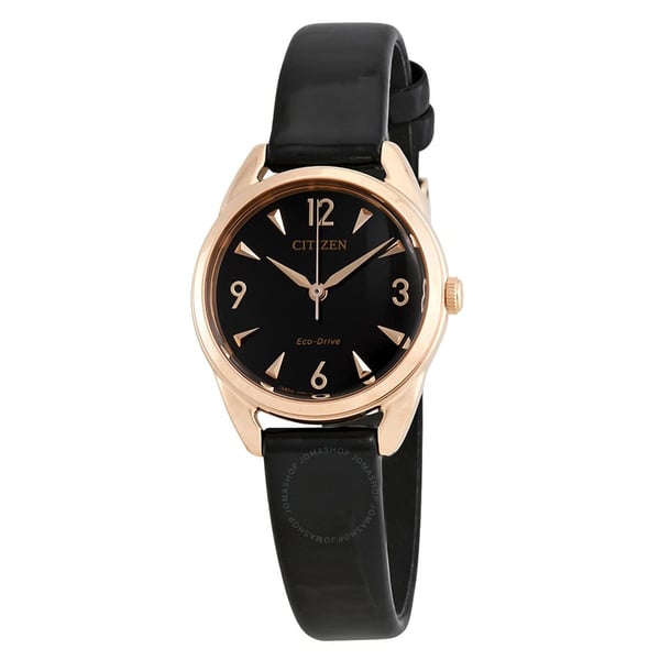 Citizen ltr watch 2025