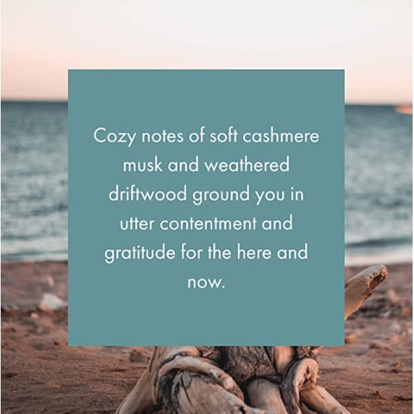 Buy Seaside Driftwood Monthly Fragrance Cartridge For Scentair Whisper