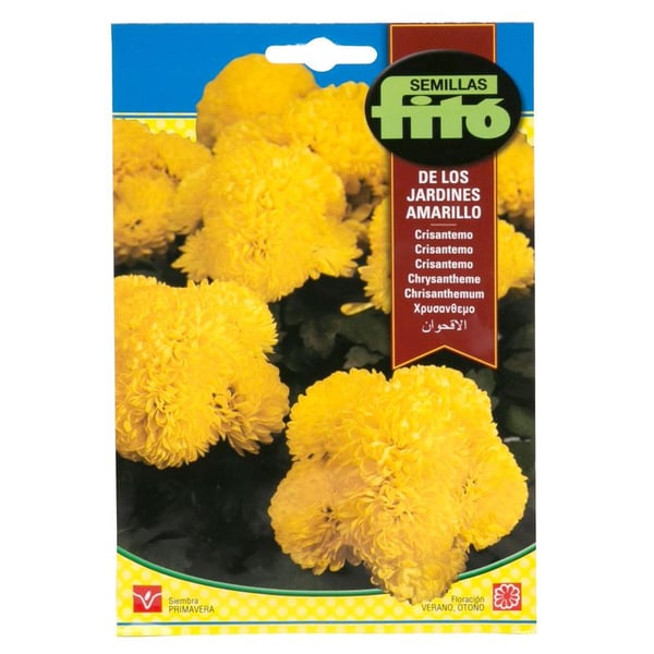 Semilla Fito Seeds - Jardines Amarillo Chrisanthemum (2 g) Semilla Fito Seeds - Jardines Amarillo Chrisanthemum (2 g)