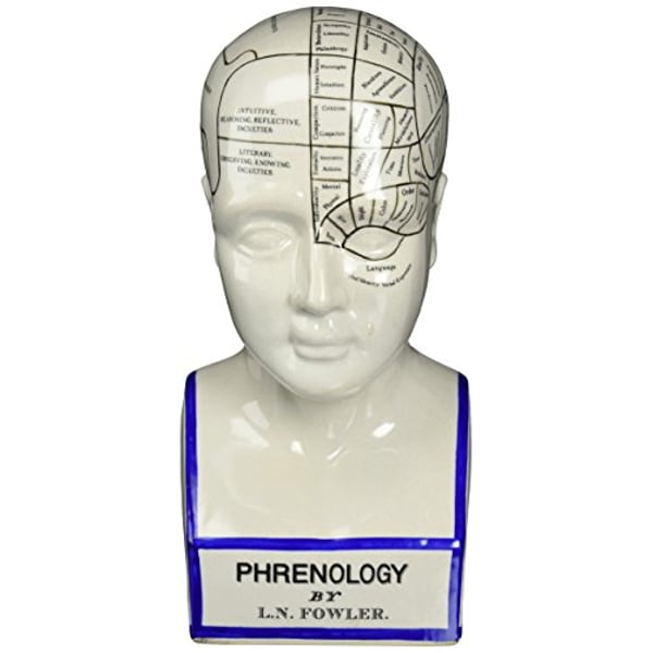 Design Toscano Sp020 Porcelain Phrenology Head Fortune Telling Statue, 12 Inch, Porcelain, White Design Toscano Sp020 Porcelain Phrenology Head Fortune Telling Statue, 12 Inch, Porcelain, White
