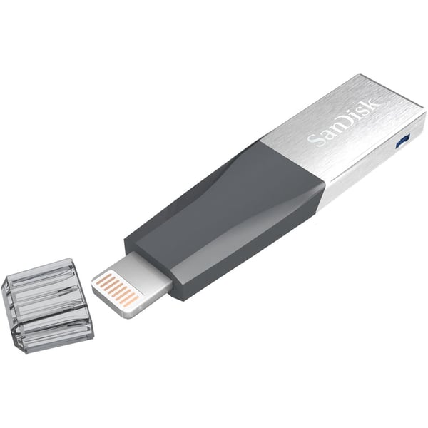 Sandisk SDIX40N064GGN6NN IXpand Mini Flash Drive 64GB