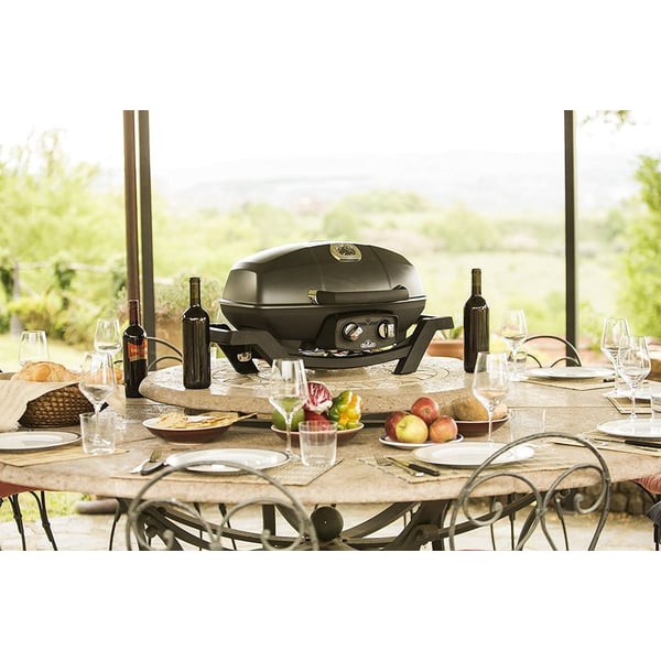 napoleon portable gas grill