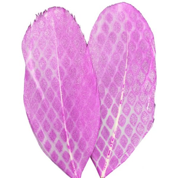 Touch Of Nature, Printed Feathers, Pink Shimmer Design