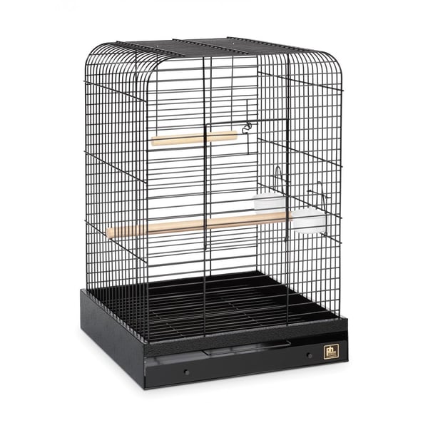 Parrot cage online shopping hotsell