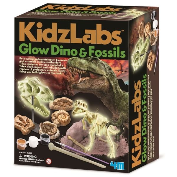 4M 5528 Glow Dino & Fossils 4M 5528 Glow Dino & Fossils
