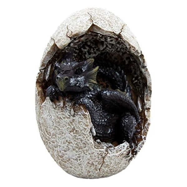 Ebros Gift Fossil Raeon Sunlight Dragon Hatchling Breaking Out Of Egg Shell Decorative Figurine 5 Ebros Gift Fossil Raeon Sunlight Dragon Hatchling Breaking Out Of Egg Shell Decorative Figurine 5