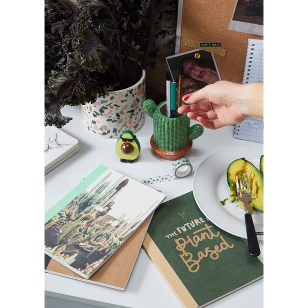 TYPO Pen Holder Cactus Shaped 123589149 price in Bahrain, Buy TYPO