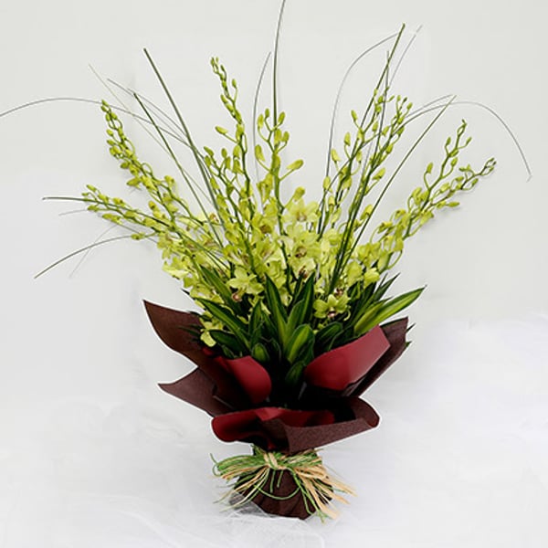 10 Green Mokara Orchids Bouquet 10 Green Mokara Orchids Bouquet