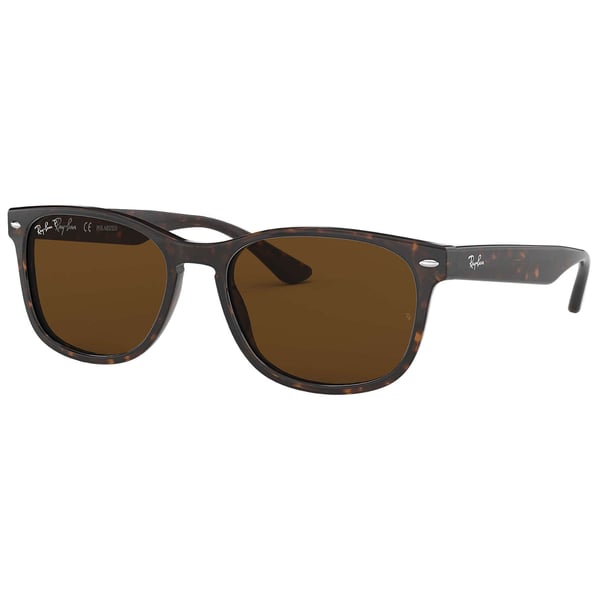 New wayfarer tortoise polarized clearance
