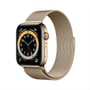 Apple Watch Series 6 GPS+Cellular 40mm Gold Stainless Steel Case with Gold Milanese Loop